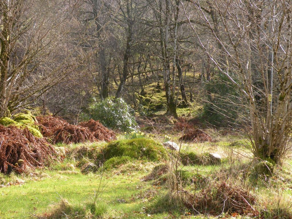 Mchugh And Loudon Cottages Saint Catherines 외부 사진
