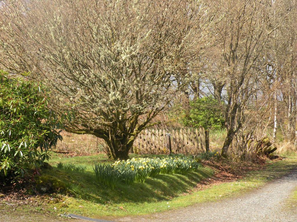 Mchugh And Loudon Cottages Saint Catherines 외부 사진